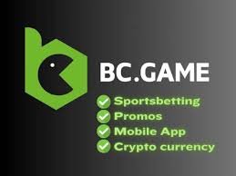 Understanding and Solving Login Problems on BC.Game USA