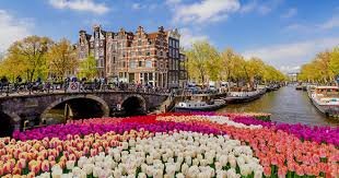 Ontdek de Beste Restaurants en Eetcafés in Apeldoorn 386958738