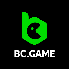 Top BC Fun An Unforgettable Gaming Experience